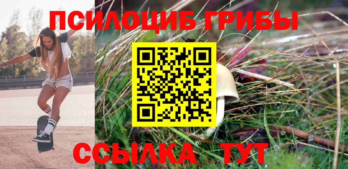 Галлюциногенные грибы GOLDEN TEACHER Можайск